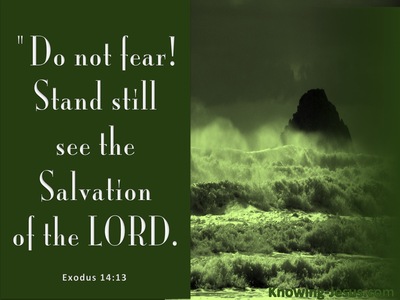 Exodus 14:13 Stand Still And See The Salvation Of God (green)
